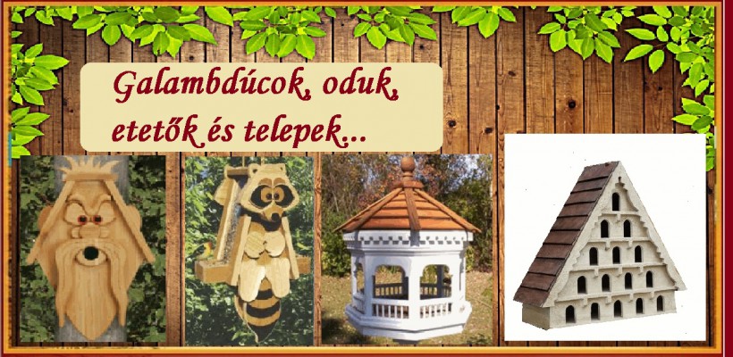 Galambdúcok, oduk, etetők és telepek...