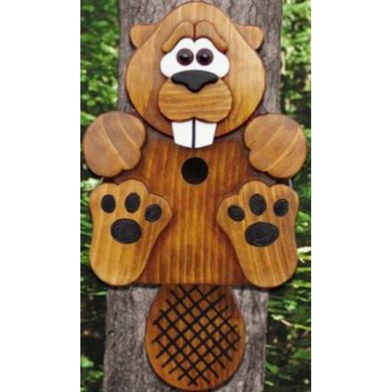 Saci mókus etető telep