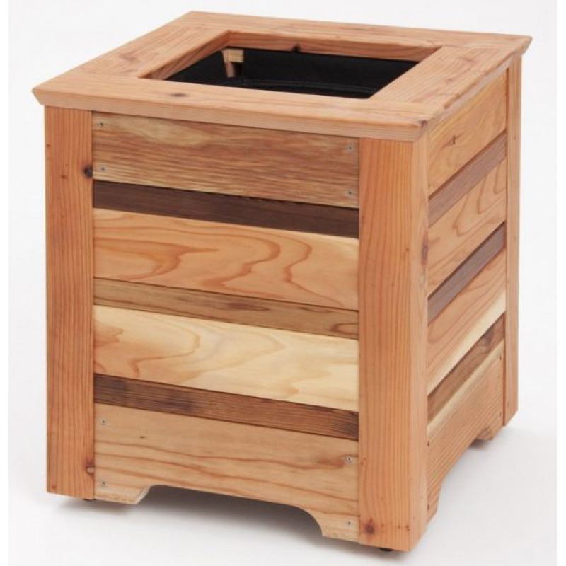 Container rivera