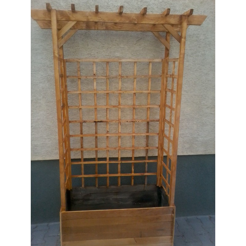 Window