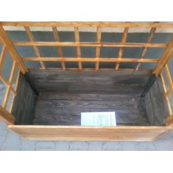 Window