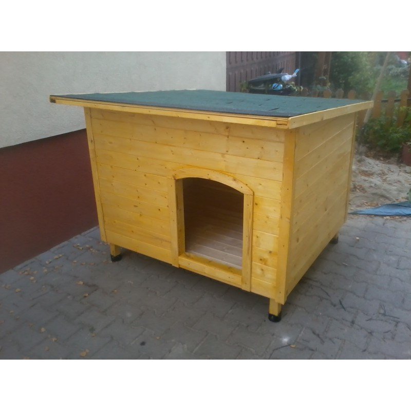 Beethoven kutyaház fialtató