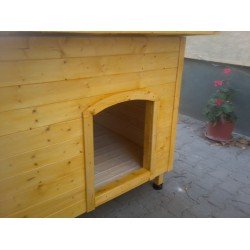 Beethoven kutyaház fialtató