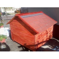 Foxi Maxi (Duo) Kutyaház