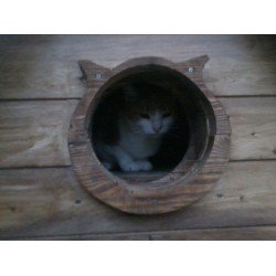 Sultan friend cat kutyaház