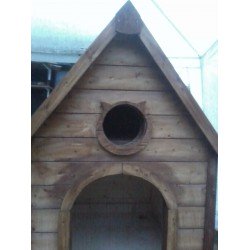 Sultan friend cat kutyaház