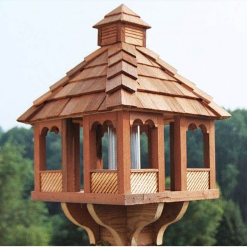 Pintyőke madárház Finches aviary