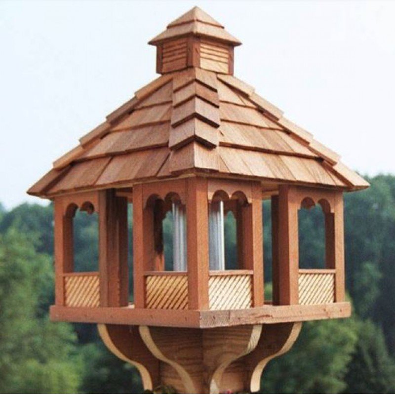 Pintyőke madárház Finches aviary